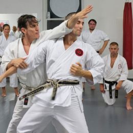 Image showing young men practicing shotokan karate method.