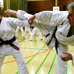 Image of A Strong and Confidence Kick By Master Towards the training girl.